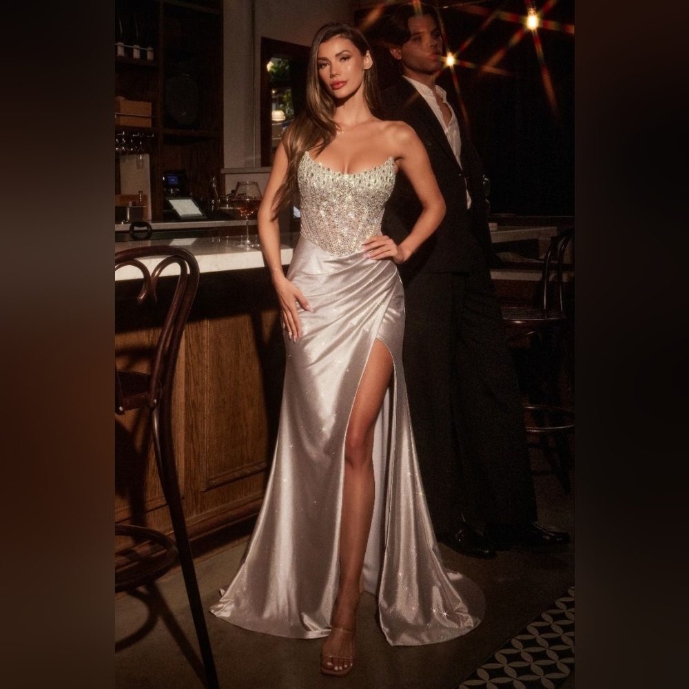 Silver Strapless Evening Gown By Ladivine CC467
